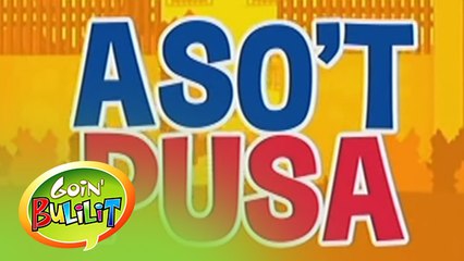 Goin' Bulilit: Aso't Pusa