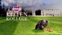 Ep.3 Kitten Kollege  Freshers Week