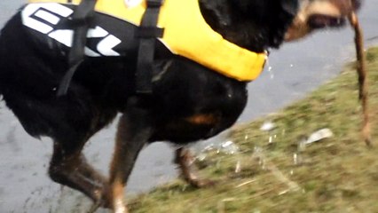 gilet de sauvetage 2