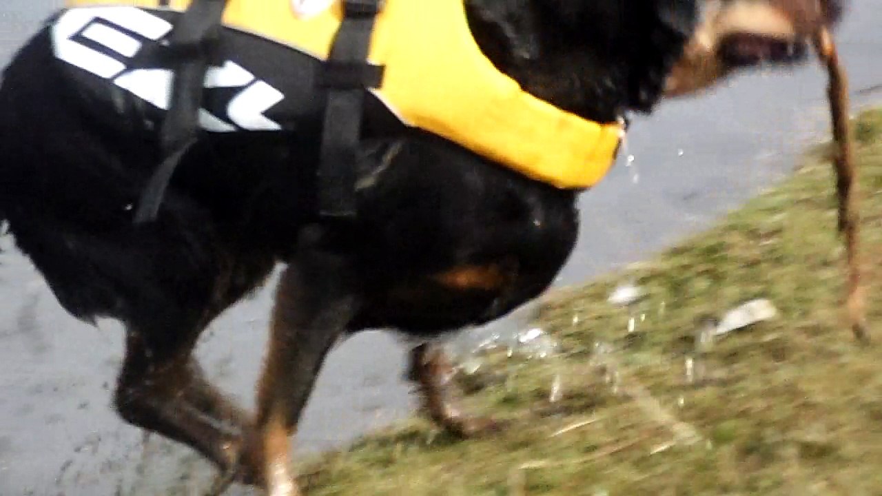 gilet de sauvetage 2