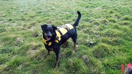 test gilet de sauvetage  3