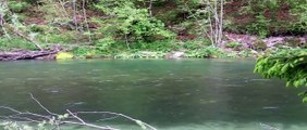 Pesca a mosca sul fiume  Sava