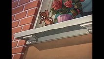 Tom and Jerry, 55 Episode - Casanova Cat (1951)
