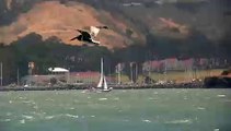 Pelicans Diving Fort Baker: Five Stars Yacht ZAP Wine Cruise