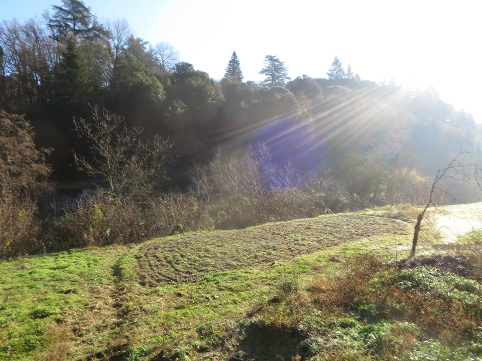 "Le Printemps est de retour”  par Julien Roux