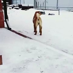 This is Slo Motion Effect on iPhone 5s