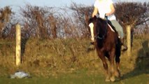 Hanna Riding with KC JESSI: 100% NFQHA Quarter Horse mare