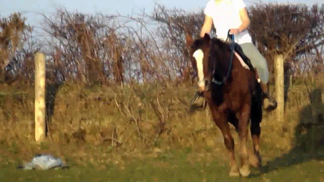 Hanna Riding with KC JESSI: 100% NFQHA Quarter Horse mare