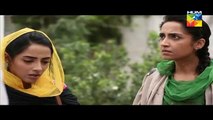 Zindagi Tujh Ko Jiya Episode 18 Full HUM TV Drama 22 Mar 2016