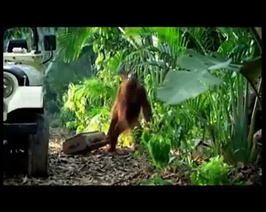 So Funny Must Watch