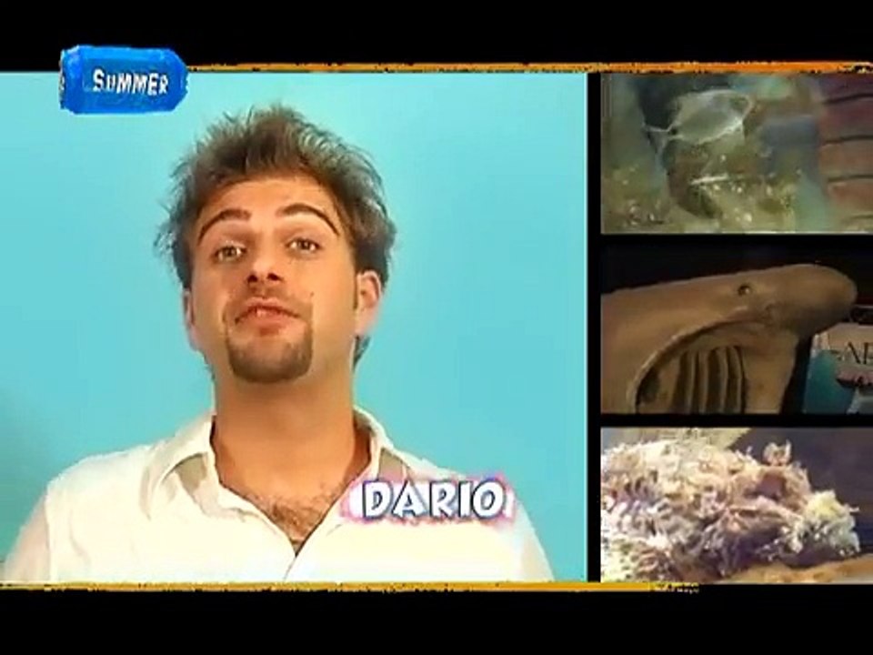 Il Pianeta Mare dell'Oltremare di Riccione
