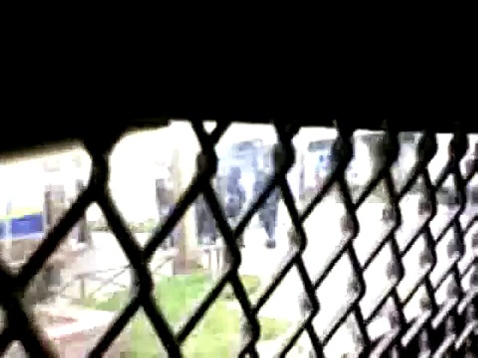 minors Mapuche