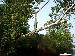 Landon Potomac River Rope Swing