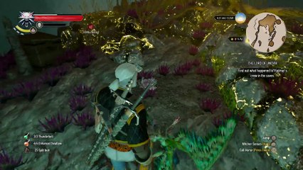 THE WITCHER 3 WALKTHROUGH PART 166 - MASTER ARMORERS & THE LORD OF UNDVIK
