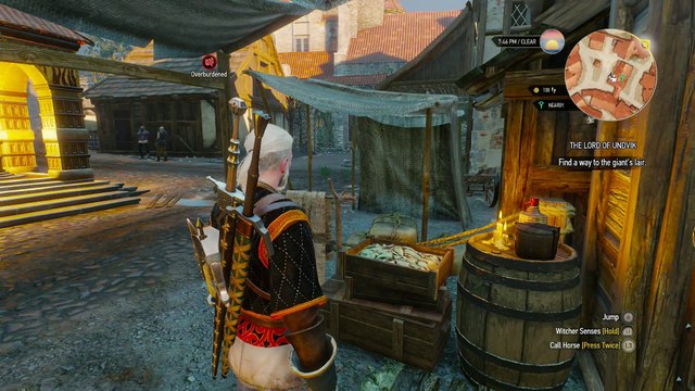THE WITCHER 3 WALKTHROUGH PART 167 - LORD OF UNDVIK & MASTER ARMORERS