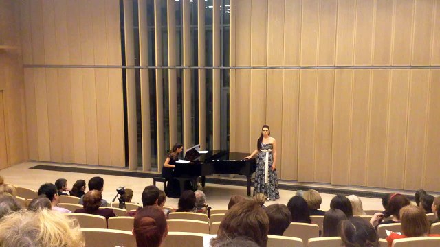 Ю. Фалик Окно в ночи из цикла Звенидень Вероника Токарева