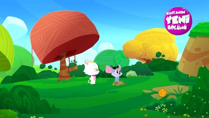 Pisi Yeni Bölüm Tanıtım / Bölüm 40