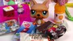 Shopkins LPS Mystery Surprise Handmade Blind Bags Toys Cookieswirlc Fan Mail Littlest Pet Shop