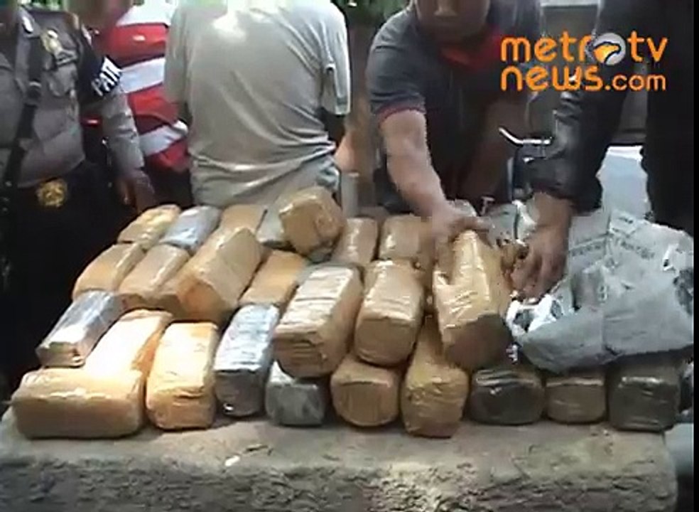 gerebek ganja 2