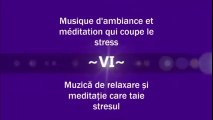 Musique d’ambiance et meditation qui coupe le stress - Muzică de relaxare și meditație care taie stresul ( Partea a VI-a )