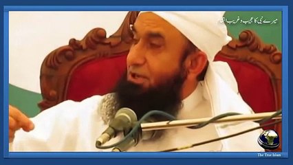 Mere Nabi ka ajeeb o ghareeb intiqam by Maulana Tariq Jameel