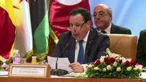 الدول المجاورة لليبيا تسعى الى تنسيق جهودها في مواجهة الفوضى