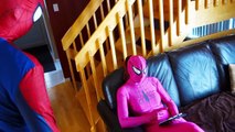 Pink Spidergirl Pregnant  Spiderman  Frozen Anna in Real Life Fun Superhero Movie IRL