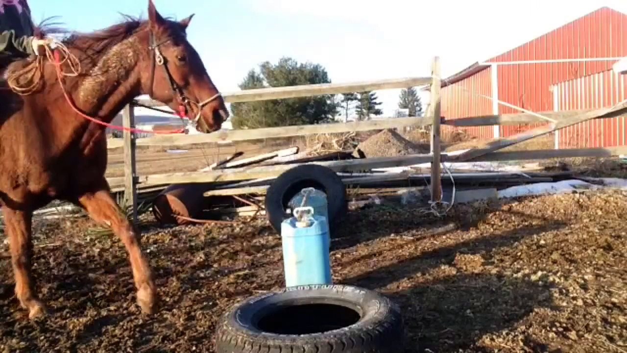 Fail Videos