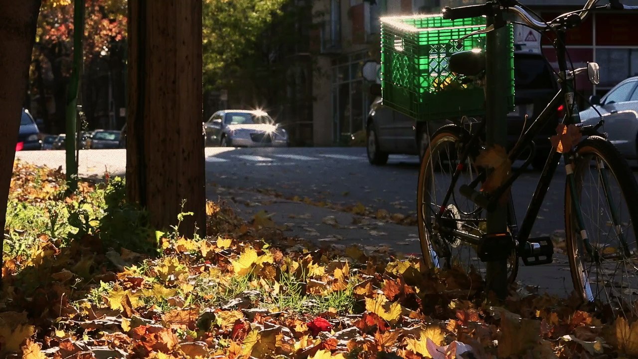 City Fall