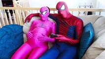 Spiderman  Pink Spidergirl Pregnant w Frozen Anna Spiderbaby is born Superhero Fun in Real Life