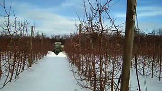 Snow Plowing Orchard.avi