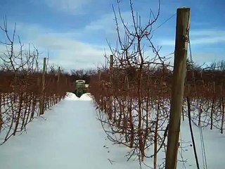 Snow Plowing Orchard.avi