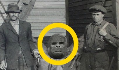 Top 5 Best BIGFOOT Sightings of All Time