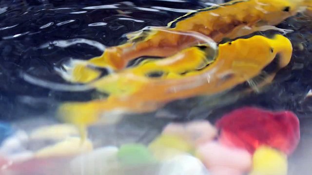 버벌진트(Verbal Jint) - 비범벅(Walking in the Rain) feat. 범키(BUMKEY)