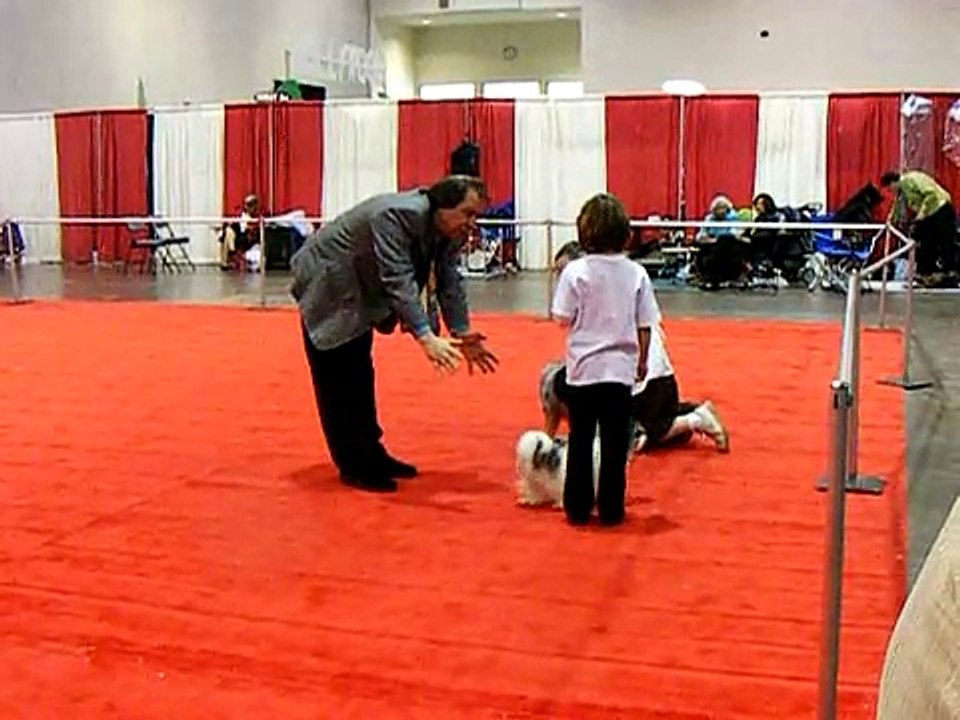 Lexie Junior Handler Video II