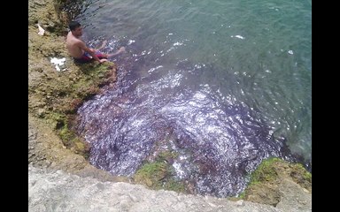 وقت رائع في بحر بومرداس (الكرمة)