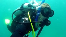Scuba Diving - Great Barrier Reef 2016