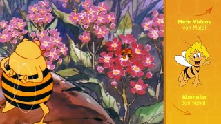 Die Biene Maja - Folge 30 - Fahrt in der Limonadenflasche
