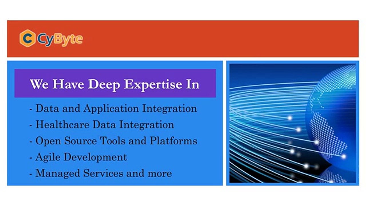 Cloud Data Integration Service