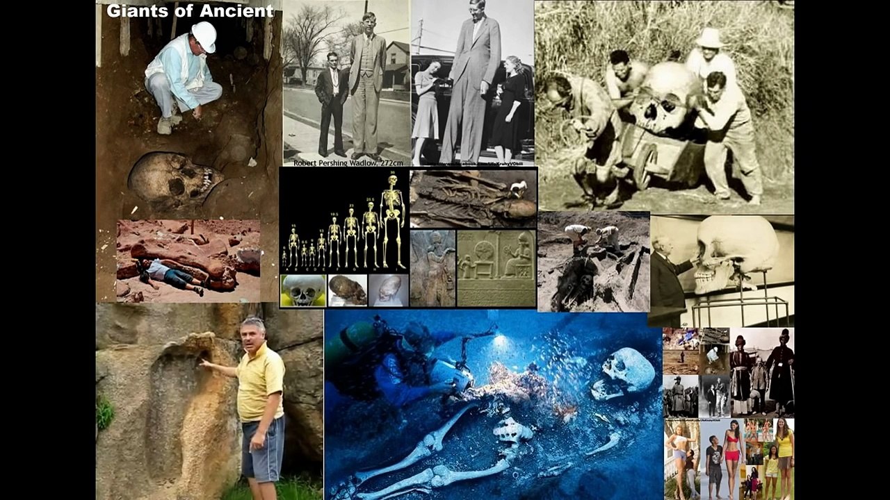 Mermaids, dragons, giants really lived