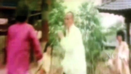 Real Shaolin Kung Fu Fight Scene Unbelievable - Must Watch!!