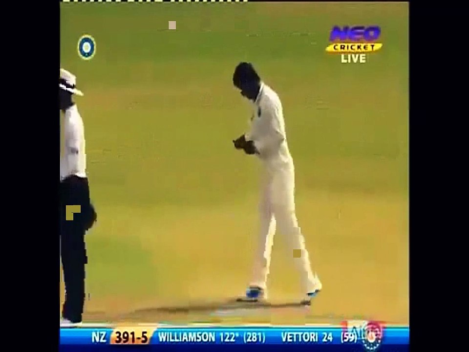 MS Dhoni Hilarious Stump Recordings