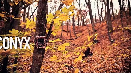 Sandhill Mullies Heartland Bowhunter