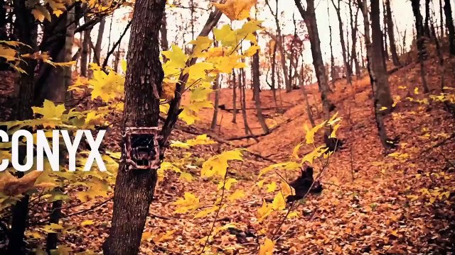 Sandhill Mullies Heartland Bowhunter