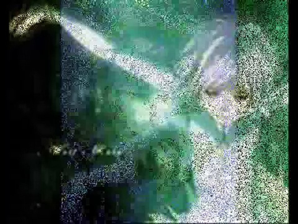 Wolf's Rain