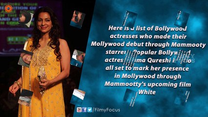 Bollywood Beauties Debut Through Mammootty Starrers - Filmyfocus.com