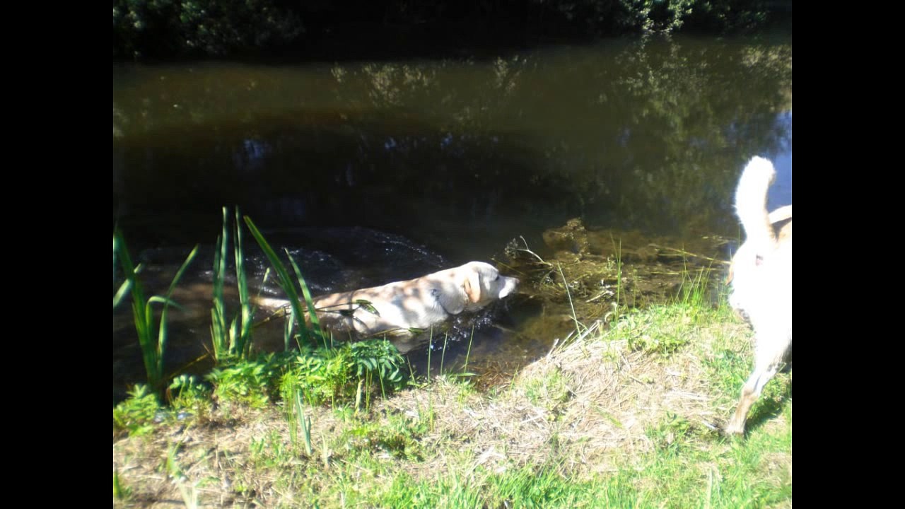 RIVIERE ABER WRAC'H