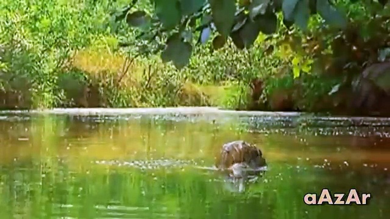 For the Motherland - Pakistan Army Song WATAN KE LIYE (HQ) - AK-Music