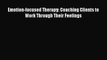 Download Emotion-focused Therapy: Coaching Clients to Work Through Their Feelings  Read Online