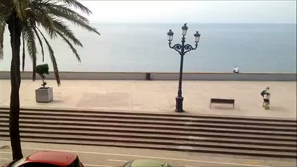 Shark Wheel Feedback from the Riders 'sharkwheel on sharktank'